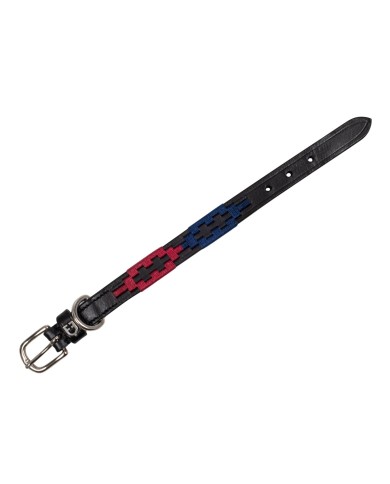 COLLARE CANE MODELLO POLO S