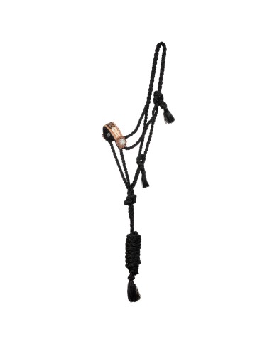 ROPE HALTER WITH TOOLED LEATHER NOSEBAND