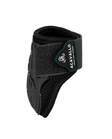 SKELETON DYNAMIC ZONE FETLOCK