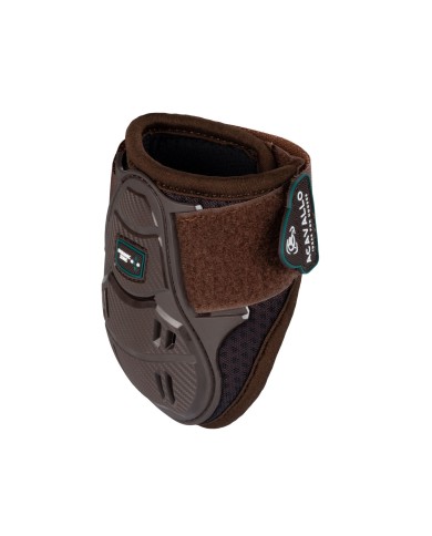 SKELETON DYNAMIC ZONE FETLOCK
