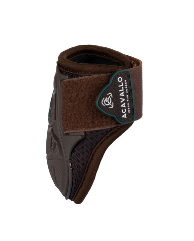 SKELETON DYNAMIC ZONE FETLOCK