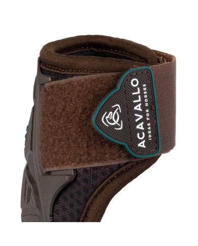 SKELETON DYNAMIC ZONE FETLOCK