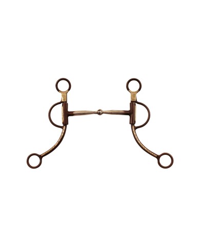 MORSO WESTERN FERRO BRUNITO ASTE LUNGHE DECORATE