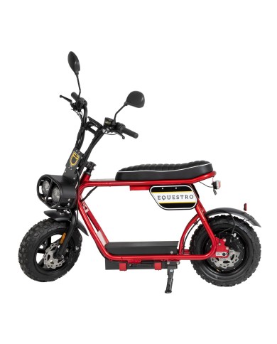 ELECTRIC MINIMOTO 1000w