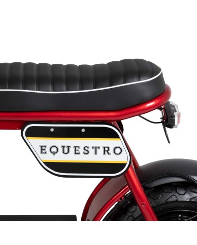 ELECTRIC MINIMOTO 1000w