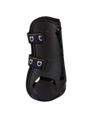 PARATENDINI EQUESTRO EVOLUTION new