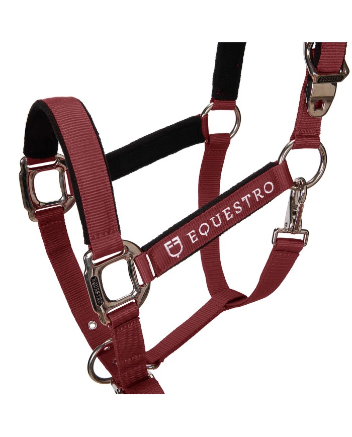 CAVEZZA EQUESTRO C/LUNGHINA MODELLO SHINY FITTINGS