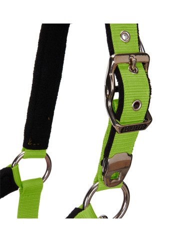 CAVEZZA EQUESTRO C/LUNGHINA MODELLO SHINY FITTINGS