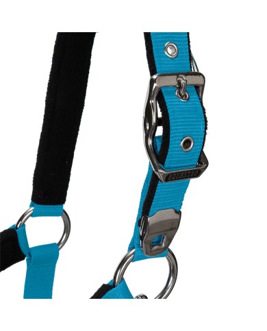 CAVEZZA EQUESTRO C/LUNGHINA MODELLO SHINY FITTINGS