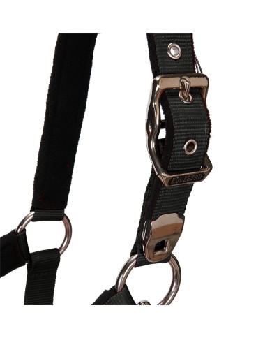 CAVEZZA EQUESTRO C/LUNGHINA MODELLO SHINY FITTINGS