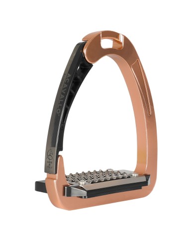 ARENA ALUPRO STIRRUP
