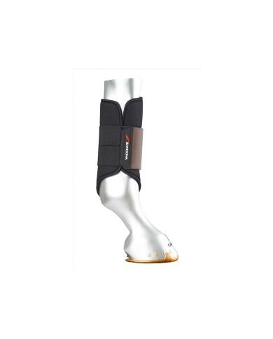 PROTEZIONE DA LAVORO CARBON AIR WORKOUT REAR