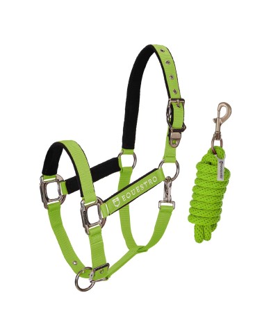 CAVEZZA EQUESTRO C/LUNGHINA MODELLO SHINY FITTINGS