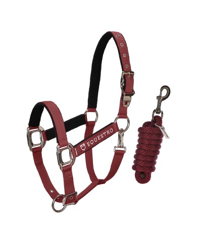 CAVEZZA EQUESTRO C/LUNGHINA MODELLO SHINY FITTINGS