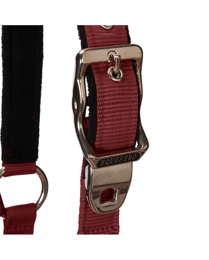CAVEZZA EQUESTRO C/LUNGHINA MODELLO SHINY FITTINGS