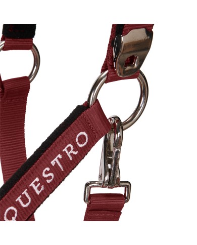 CAVEZZA EQUESTRO C/LUNGHINA MODELLO SHINY FITTINGS