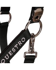 CAVEZZA EQUESTRO C/LUNGHINA MODELLO SHINY FITTINGS