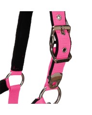 CAVEZZA EQUESTRO C/LUNGHINA MODELLO SHINY FITTINGS