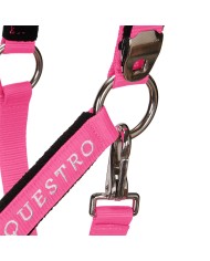 CAVEZZA EQUESTRO C/LUNGHINA MODELLO SHINY FITTINGS