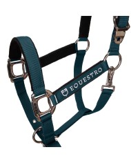 CAVEZZA EQUESTRO C/LUNGHINA MODELLO SHINY FITTINGS
