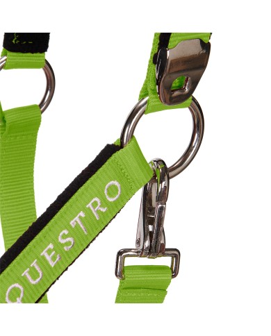 CAVEZZA EQUESTRO C/LUNGHINA MODELLO SHINY FITTINGS