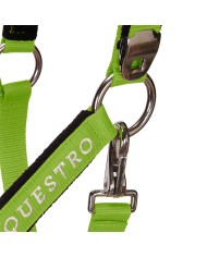 CAVEZZA EQUESTRO C/LUNGHINA MODELLO SHINY FITTINGS