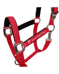 CAVEZZA EQUESTRO C/LUNGHINA MODELLO SHINY FITTINGS