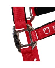CAVEZZA EQUESTRO C/LUNGHINA MODELLO SHINY FITTINGS