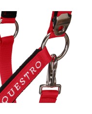 CAVEZZA EQUESTRO C/LUNGHINA MODELLO SHINY FITTINGS