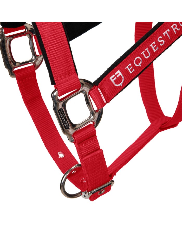 CAVEZZA EQUESTRO C/LUNGHINA MODELLO SHINY FITTINGS