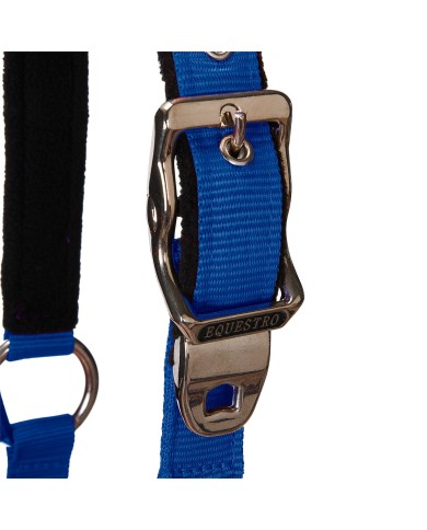 CAVEZZA EQUESTRO C/LUNGHINA MODELLO SHINY FITTINGS