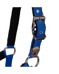 CAVEZZA EQUESTRO C/LUNGHINA MODELLO SHINY FITTINGS