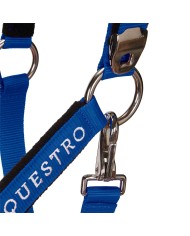 CAVEZZA EQUESTRO C/LUNGHINA MODELLO SHINY FITTINGS