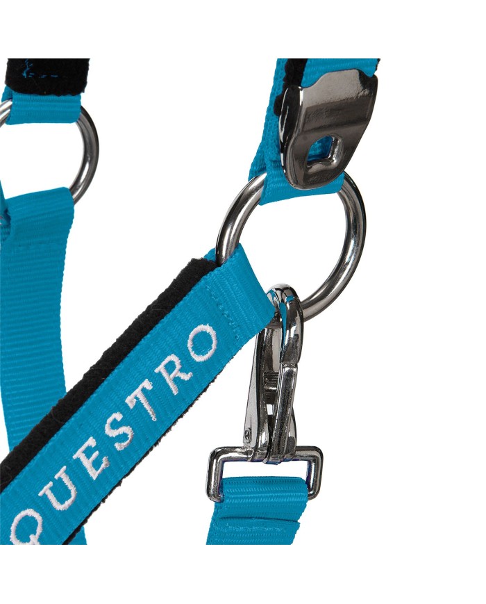 CAVEZZA EQUESTRO C/LUNGHINA MODELLO SHINY FITTINGS