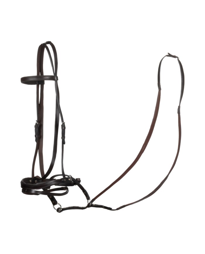 TESTIERA BITTLESS HORSE BALL C/REDINI