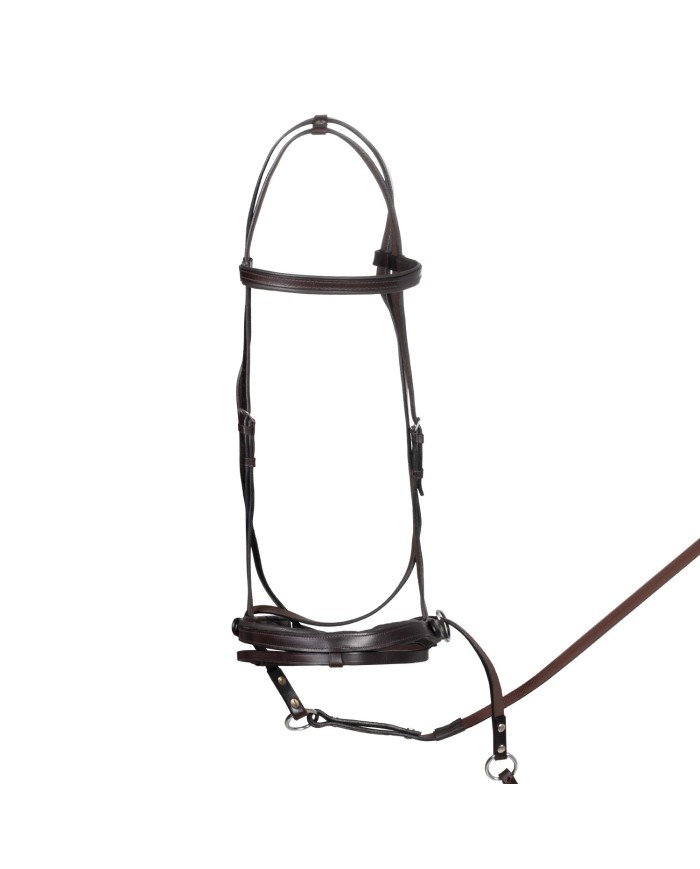 TESTIERA BITTLESS HORSE BALL C/REDINI