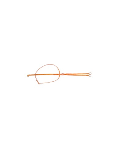 MARTINGALA COLLIER POOL S