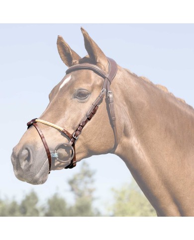 ROPE FLASH NOSEBAND