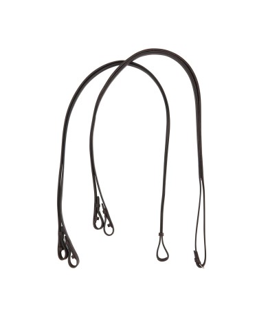 DOPPIE REDINI DRESSAGE EQUESTRO