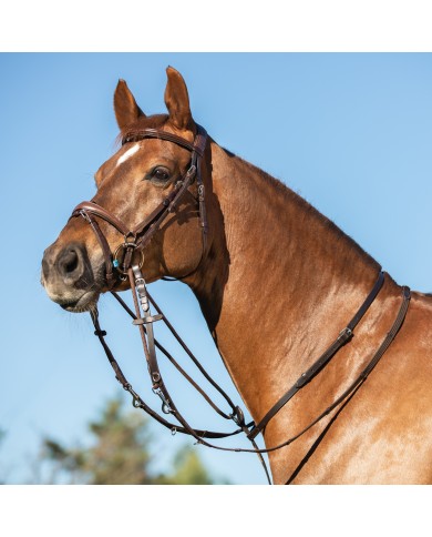 ITALIAN LEATHER AND ROUND NYLON THIEDEMANN REINS