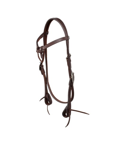 WESTERN FUTURITY BRIDLE