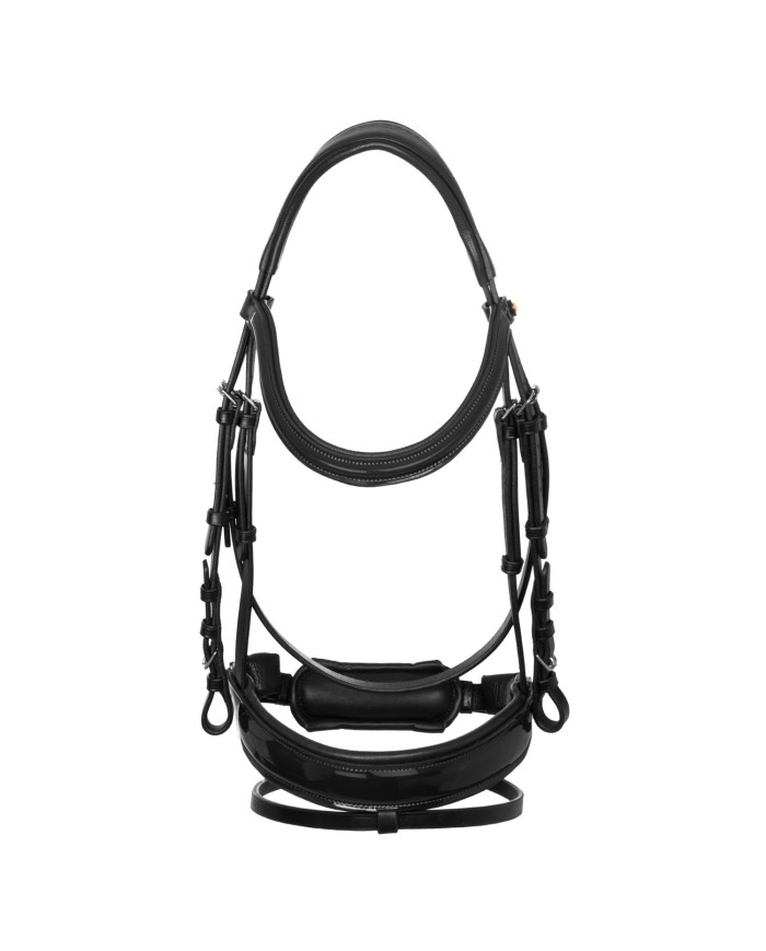 SHINY ANATOMIC LEATHER BRIDLE