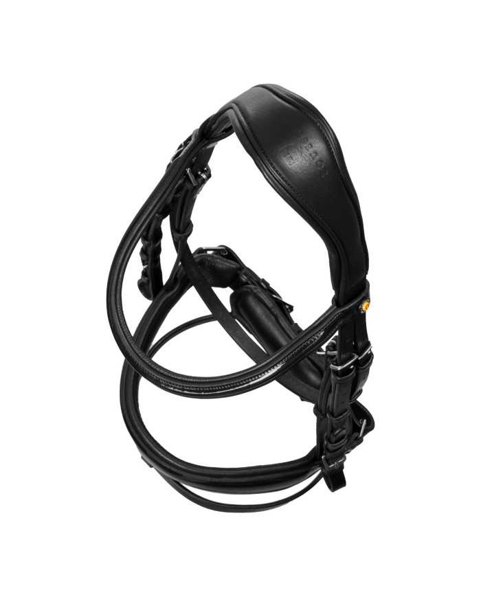 SHINY ANATOMIC LEATHER BRIDLE