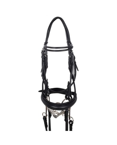 BRIGLIA DRESSAGE DOUBLE ROUND BROWBAND