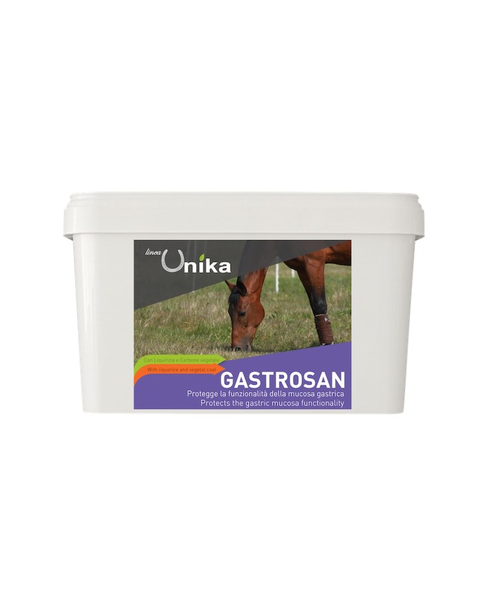 GASTROSAN (1.5 KG)