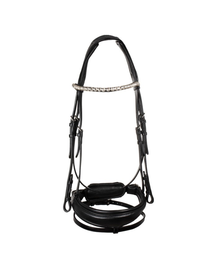 STARRY NIGHT ANATOMIC LEATHER BRIDLE