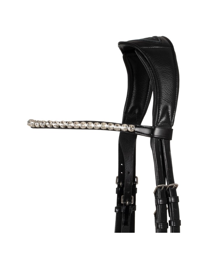 STARRY NIGHT ANATOMIC LEATHER BRIDLE