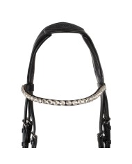 STARRY NIGHT ANATOMIC LEATHER BRIDLE