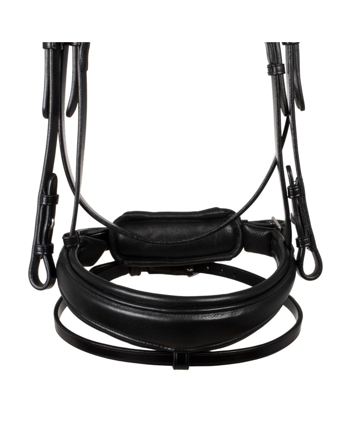 STARRY NIGHT ANATOMIC LEATHER BRIDLE