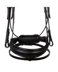 STARRY NIGHT ANATOMIC LEATHER BRIDLE